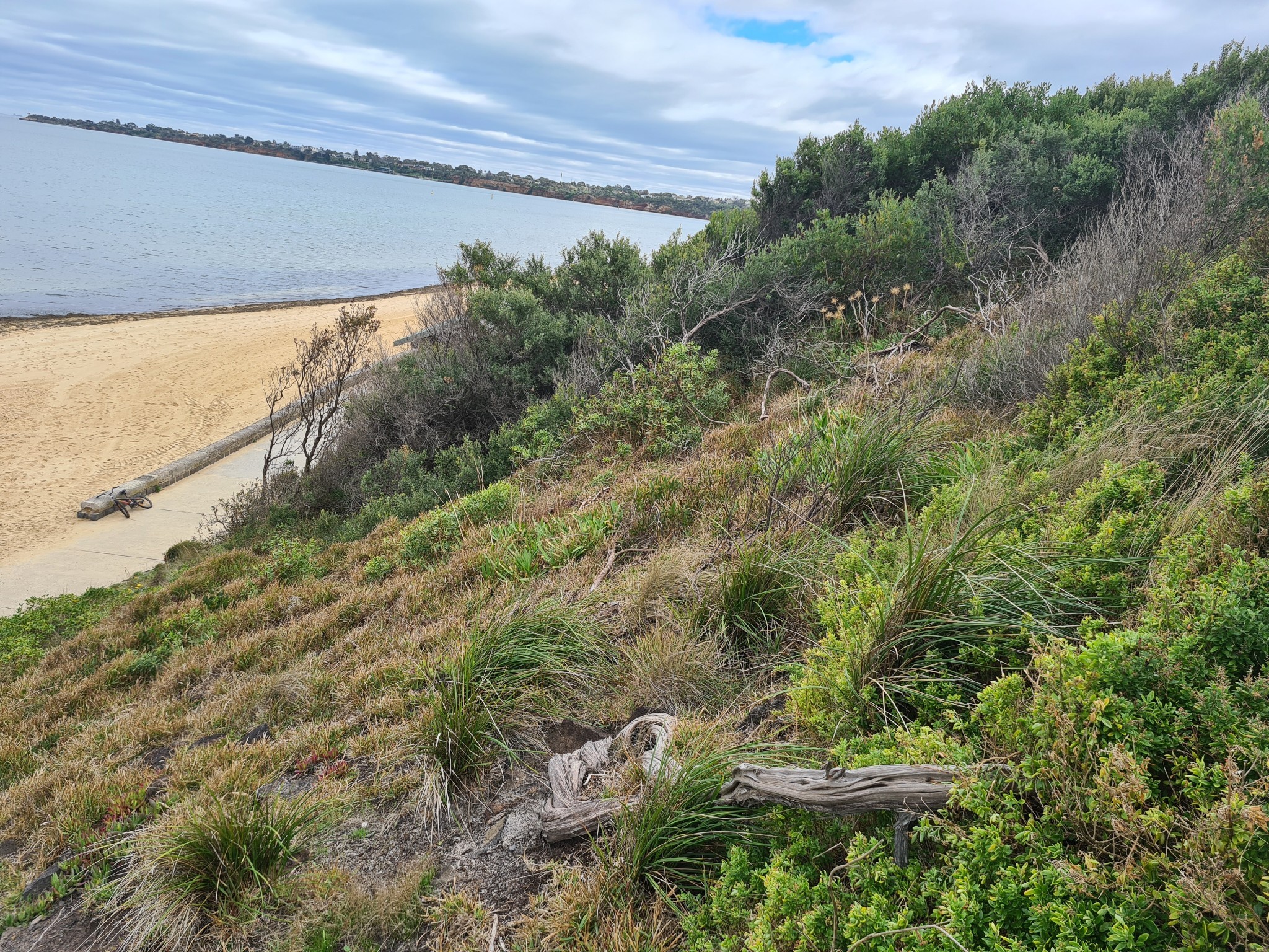 Planting The Seed Program Grant