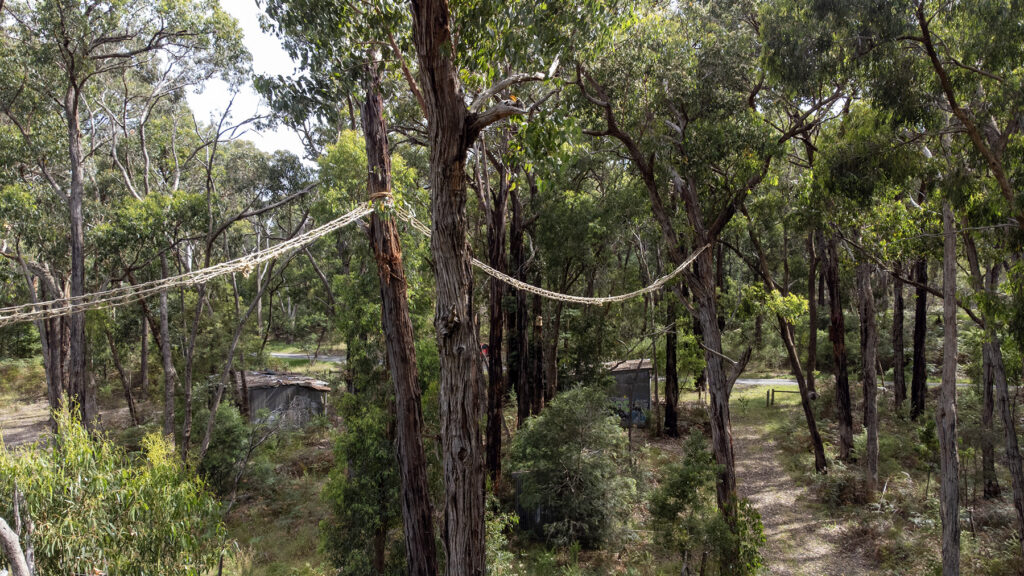 Rope Ranges Wildlife Rope Briges – Yarra Ranges
