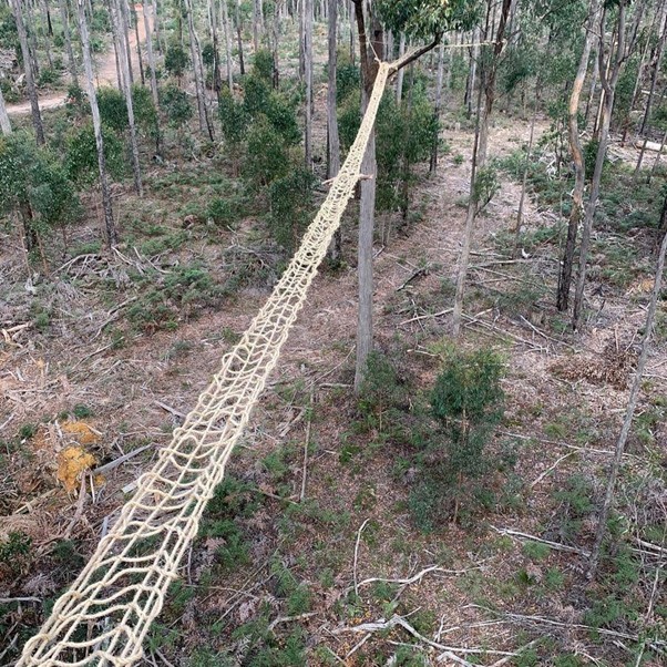 Wildlife Rope Bridges – Yarra Ranges