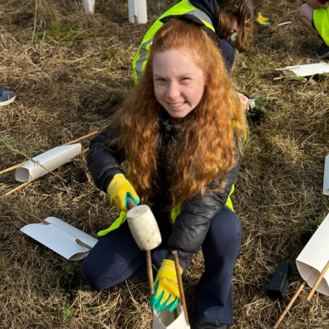 We had an awesome morning with the Wandin North Primary School Sustainability Squad where we planted 500 plants at Picnic Hills Bushlands Reserve near Wandin Primary School.  Check out the photos!

We'd like to thank the Yarra Ranges Council bushland team (thanks Ben!) for their invaluable on-ground support, and the Yarra Ranges Council Annual Grants program for generously funding our Planting the Seed program.  We'd also like to give a big shout out to Laura from Wandin North PS for her ongoing support as well as project partners @e_r_aus.

 #generationrestoration #WildlifeConservation #yarraranges #livingclassrooms
